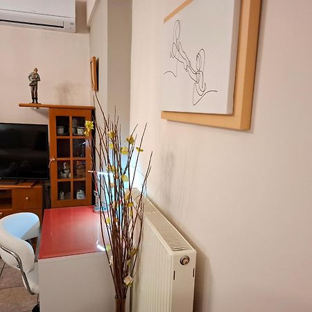 Απέριττον 2 Leilighet Tríkala Eksteriør bilde